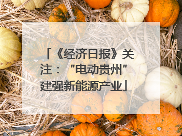 《经济日报》关注：“电动贵州”建强新能源产业