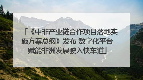 《中非产业链合作项目落地实施方案总纲》发布 数字化平台赋能非洲发展驶入快车道