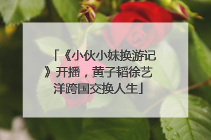 《小伙小妹换游记》开播，黄子韬徐艺洋跨国交换人生