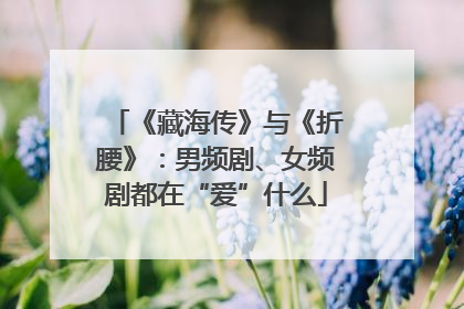 《藏海传》与《折腰》：男频剧、女频剧都在“爱”什么