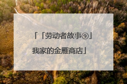 「劳动者故事⑨」我家的金雁商店