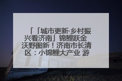「城市更新·乡村振兴看济南」锦鲤跃金 沃野图新！济南市长清区：小锦鲤大产业 游出农旅新风景