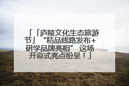 「庐陵文化生态旅游节」“精品线路发布+研学品牌亮相” 这场开幕式亮点纷呈！