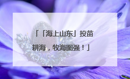 「海上山东」投苗耕海，牧海图强！