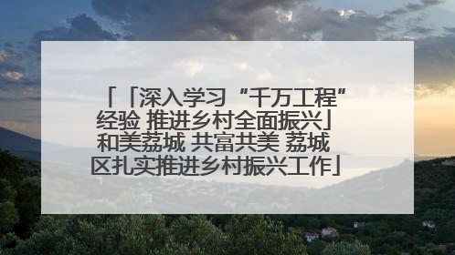 「深入学习“千万工程”经验 推进乡村全面振兴」和美荔城 共富共美 荔城区扎实推进乡村振兴工作