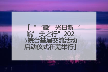 “‘徽’光日新‘皖’美之行”2025皖台基层交流活动启动仪式在芜举行