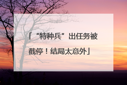 “特种兵”出任务被截停！结局太意外