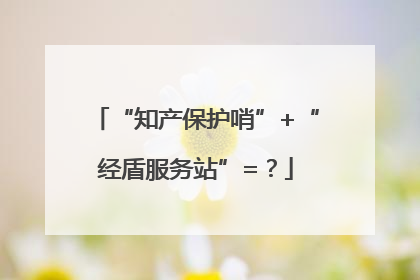 “知产保护哨”+“经盾服务站”=？