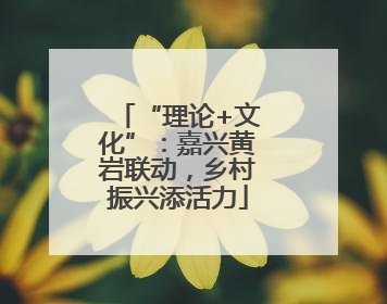 “理论+文化”：嘉兴黄岩联动，乡村振兴添活力