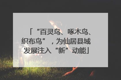 “百灵鸟、啄木鸟、织布鸟”，为仙居县域发展注入“新”动能