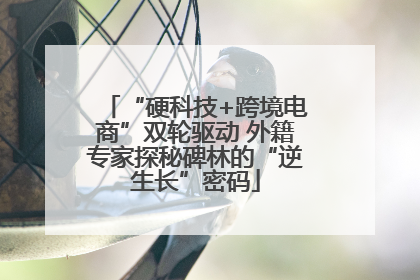 “硬科技+跨境电商”双轮驱动 外籍专家探秘碑林的“逆生长”密码