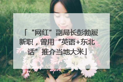 “网红”副局长彭勃履新职，曾用“英语+东北话”推介当地大米