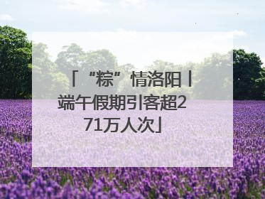 “粽”情洛阳丨端午假期引客超271万人次