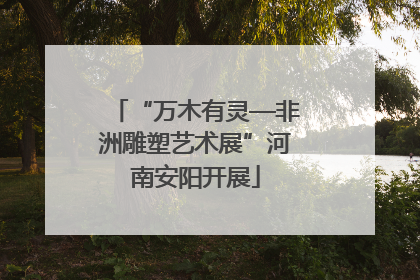 “万木有灵—非洲雕塑艺术展”河南安阳开展