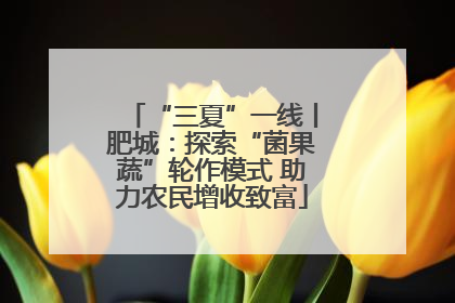 “三夏”一线丨肥城：探索“菌果蔬”轮作模式 助力农民增收致富