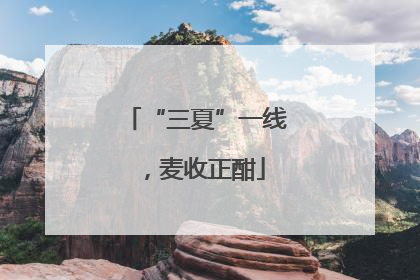 “三夏”一线，麦收正酣