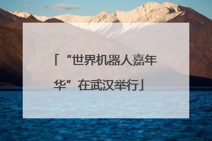 “世界机器人嘉年华”在武汉举行