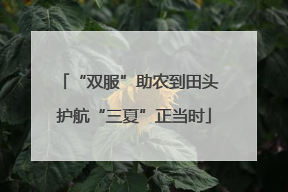 “双服”助农到田头 护航“三夏”正当时