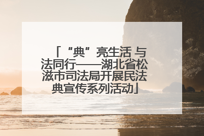 “典”亮生活 与法同行——湖北省松滋市司法局开展民法典宣传系列活动