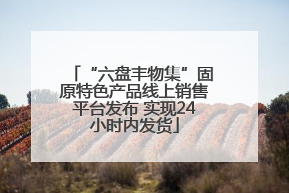 “六盘丰物集”固原特色产品线上销售平台发布 实现24小时内发货
