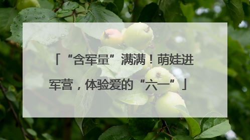 “含军量”满满！萌娃进军营，体验爱的“六一”
