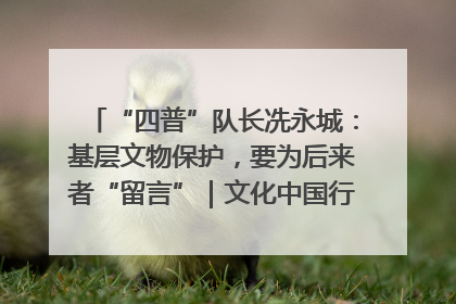 “四普”队长冼永城：基层文物保护，要为后来者“留言”｜文化中国行·我在广东找文物
