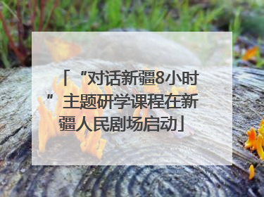 “对话新疆8小时”主题研学课程在新疆人民剧场启动