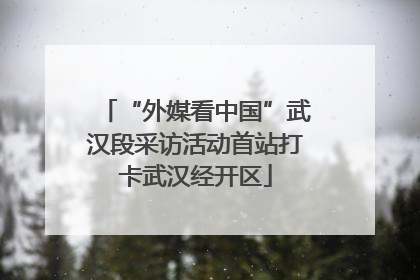 “外媒看中国”武汉段采访活动首站打卡武汉经开区