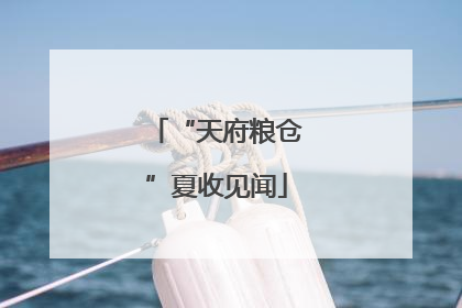 “天府粮仓”夏收见闻