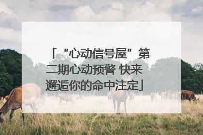 “心动信号屋”第二期心动预警 快来邂逅你的命中注定