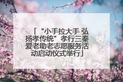 “小手拉大手 弘扬孝传统”孝行三秦爱老助老志愿服务活动启动仪式举行