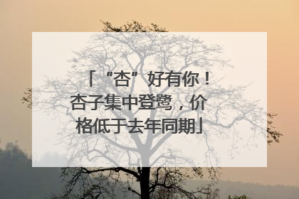 “杏”好有你！杏子集中登鹭，价格低于去年同期