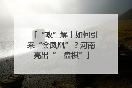 “政”解丨如何引来“金凤凰”？河南亮出“一盘棋”