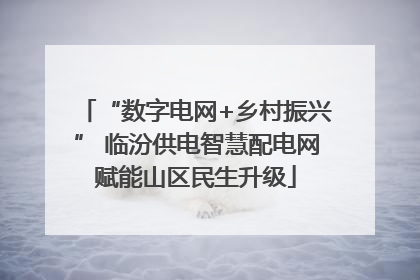 “数字电网+乡村振兴” 临汾供电智慧配电网赋能山区民生升级