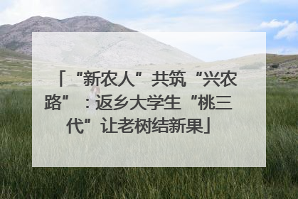 “新农人”共筑“兴农路”：返乡大学生“桃三代”让老树结新果