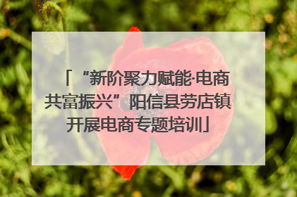 “新阶聚力赋能·电商共富振兴”阳信县劳店镇开展电商专题培训