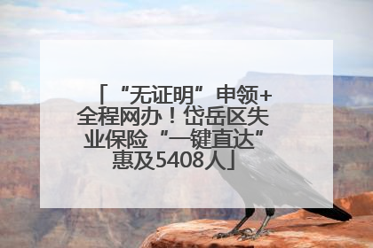 “无证明”申领+全程网办！岱岳区失业保险“一键直达”惠及5408人