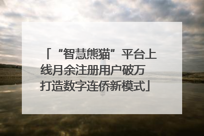 “智慧熊猫”平台上线月余注册用户破万 打造数字连侨新模式