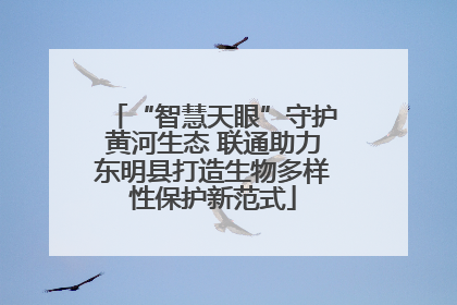“智慧天眼”守护黄河生态 联通助力东明县打造生物多样性保护新范式