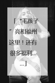 “毛孩子”亮相福州这里！还有很多福利……
