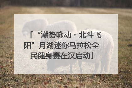 “潮势咏动・北斗飞阳”月湖迷你马拉松全民健身赛在汉启动