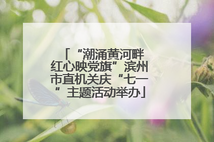 “潮涌黄河畔 红心映党旗”滨州市直机关庆“七一”主题活动举办