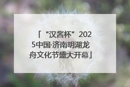 “汉酱杯”2025中国·济南明湖龙舟文化节盛大开幕