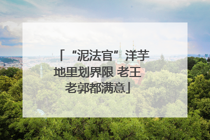 “泥法官”洋芋地里划界限 老王老郭都满意