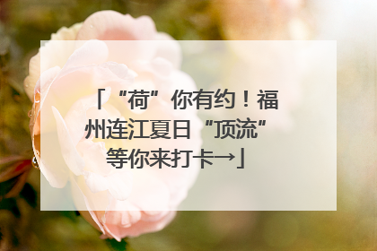 “荷”你有约！福州连江夏日“顶流”等你来打卡→