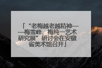 “老梅越老越精神——梅雪峰、梅纯一艺术研究展”研讨会在安徽省美术馆召开