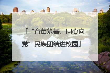 “育苗筑基、同心向党”民族团结进校园