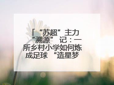 “苏超”主力 “溯源” 记：一所乡村小学如何炼成足球 “造星梦工场”
