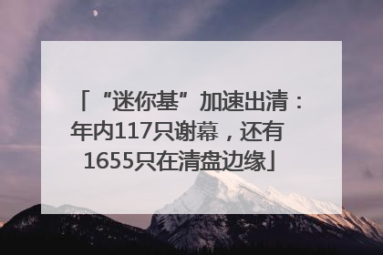 “迷你基”加速出清：年内117只谢幕，还有1655只在清盘边缘