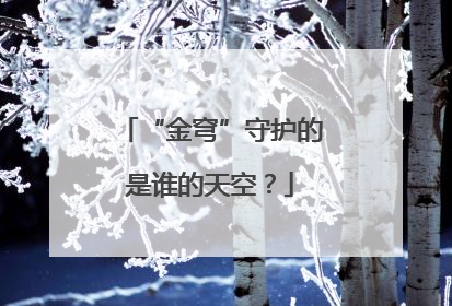“金穹”守护的是谁的天空？